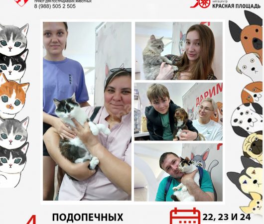 Спешим поделиться итогами выставки в Мегацентре 